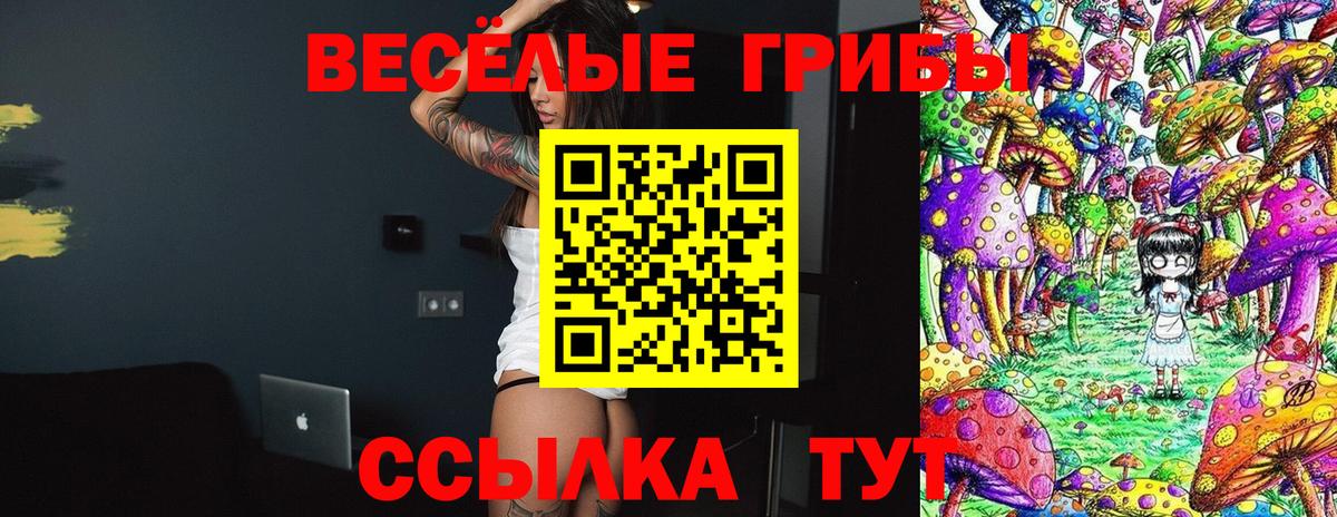Псилоцибиновые грибы Cubensis Великие Луки