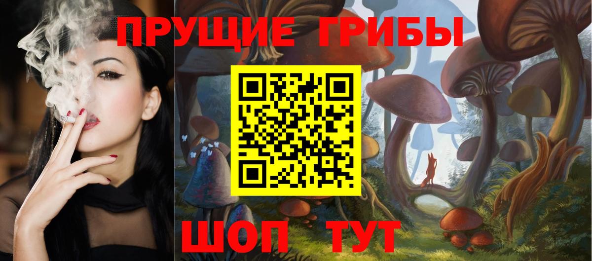 Галлюциногенные грибы Psilocybine cubensis  где найти   Вход с VPN  Великие Луки  Псилоцибиновые грибы прущие грибы 